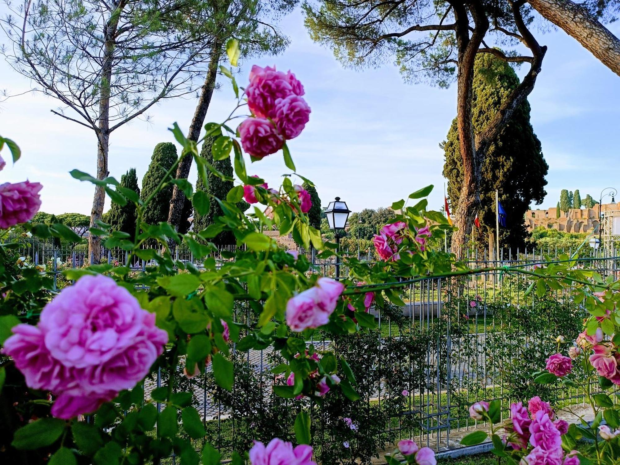 Porta Maggiore 9 Locazione Turistica Privatunterkunft Rom